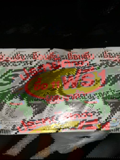 การตั้งครรภ์