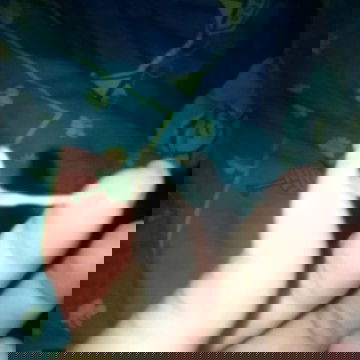 มีมูกใสออกมา