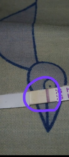 แนะนำหน่อยค่ะ