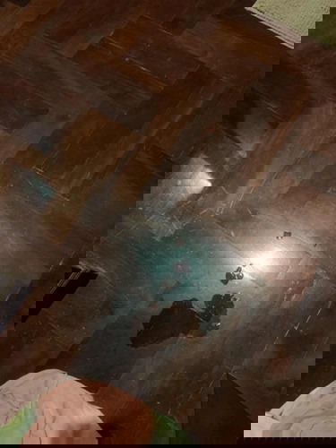 แบบนี้ใช่น้ำเดินรึเปล่าคะ