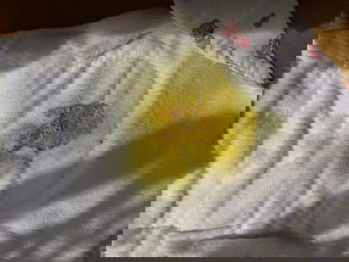 ลูกถ่ายแแบบนี่เป็นอะำรไหมครับ