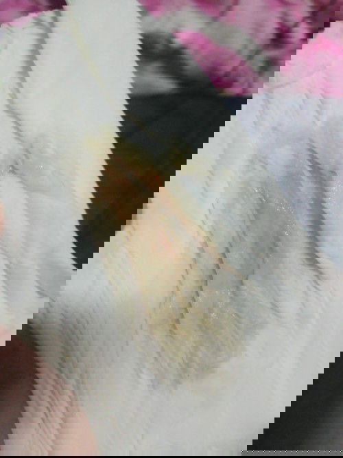 มีเลือดออกมา