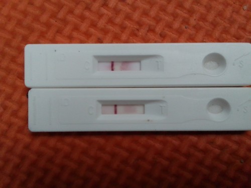 Preggy or not?