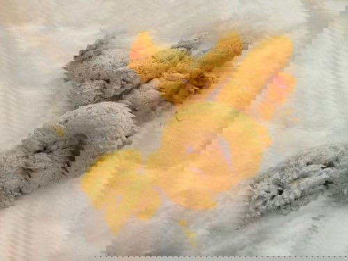 ทำไมอึลูกแข็ง