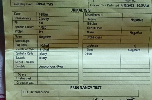 Pregnant Laboratory Test