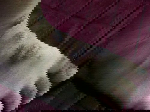 Nb : maaf kalo jijik