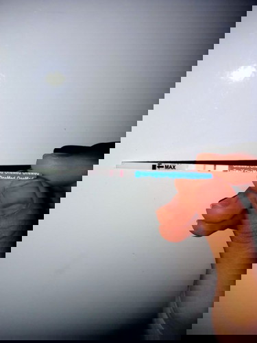 Kehamilan umur 2 bulan