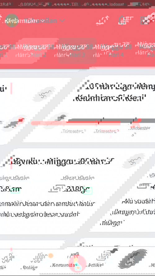 Menunggu kelahiran baby