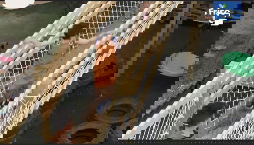 Tặng vé vào chơi khu vui chơi trải nghiệm cho bé