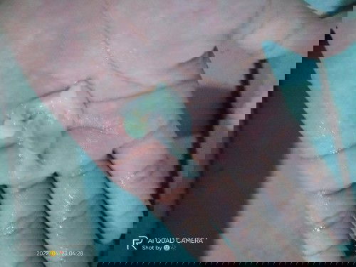 Ini keputihan apa bukan ya?