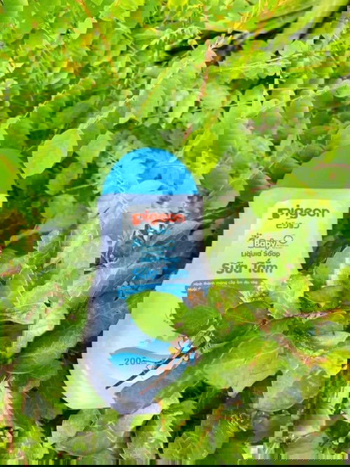 Quà livestream từ TAP💓