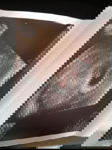 Scan awal