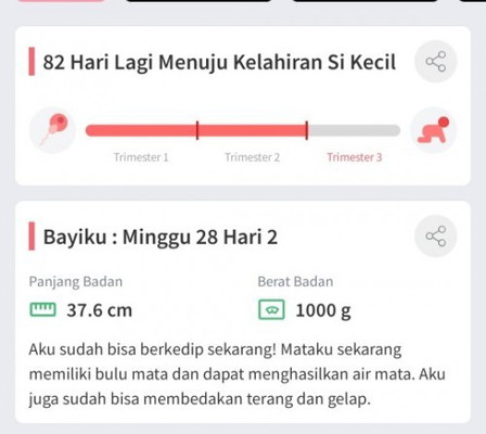 Alhamdulillah Trimester ketiga