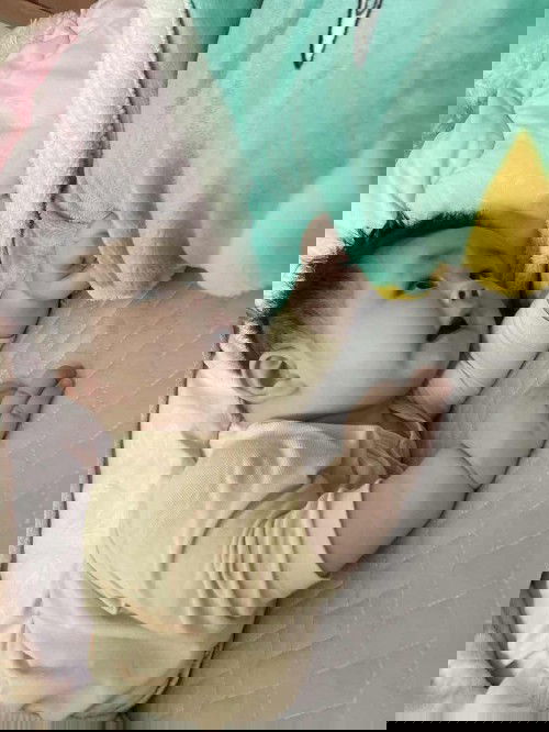 Bé nhà mình gần 6 tháng mà dạo này cứ ru ngủ là gào khóc, khóc kinh khủng luôn,mệt quá các mom ơi. Làm thế nào đây ạ????