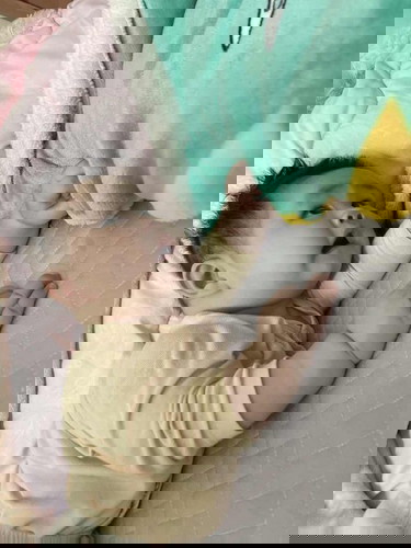 Bé nhà mình gần 6 tháng mà dạo này cứ ru ngủ là gào khóc, khóc kinh khủng luôn,mệt quá các mom ơi. Làm thế nào đây ạ????