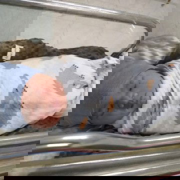 Hpl 18 April lahir 25 April