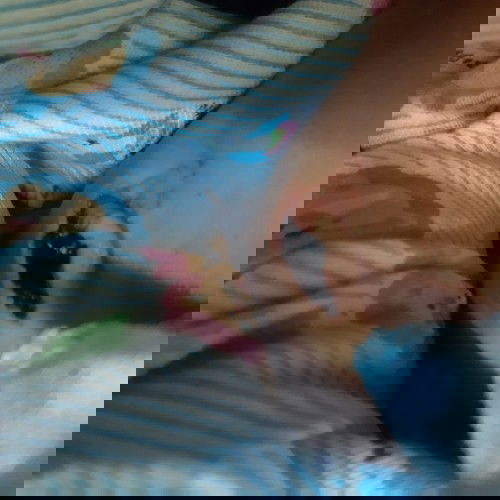 ลูกจะเป็นอะไรไหมคะ