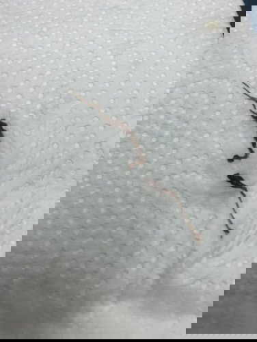 Ibu2 normal ke keluar lendir macam ni? Pagi td ada coklat sikit dekat panty liner. Lepas maghrib keluar macamni? 5weeks