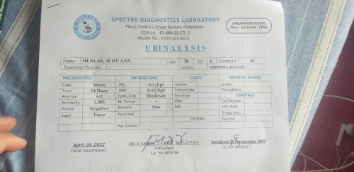 Urinalysis