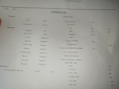 Urinalysis