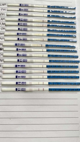 Ovulation test