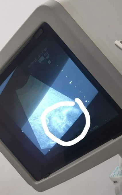 ทีมสิงหางับบ