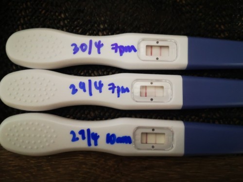 OPK test today