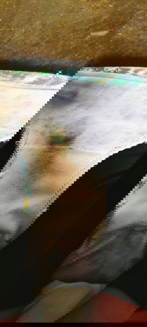 FisttimeMOM 😘

Mga momshie ask kulang po kung ito poba ang sanhi na malapit na manganak  salmat po