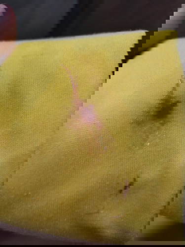 ขออภัยในความไม่สุภาพ