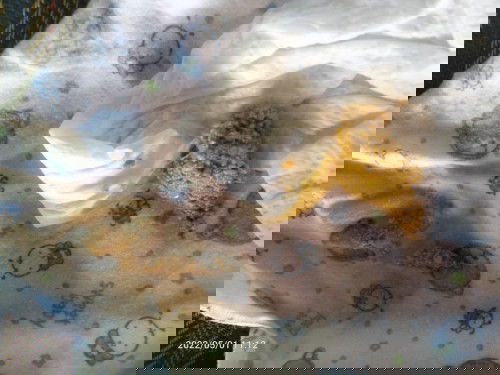 ช่วยแนะนำนมลูกหน่อยค่ะ