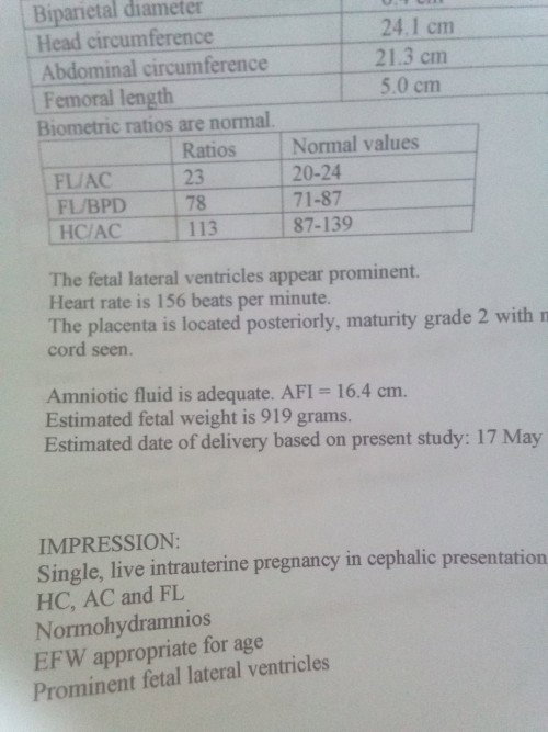 fetal lateral ventricles to normal