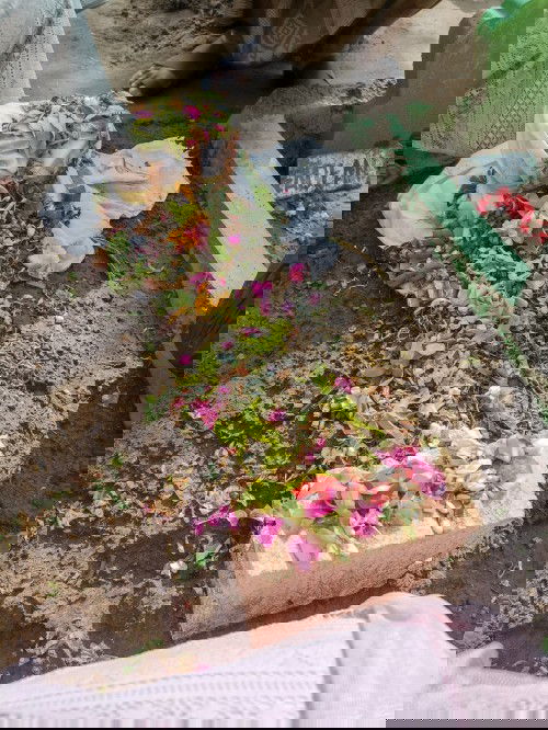 BAYI 5 BULAN SUDAH MENJADI BIDADARI SURGA NYA MAMA BABA