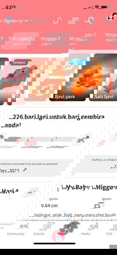 Berapa usia kandungan?