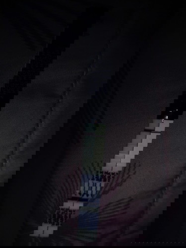 จางที่แปลว่าท้อง👌🏻