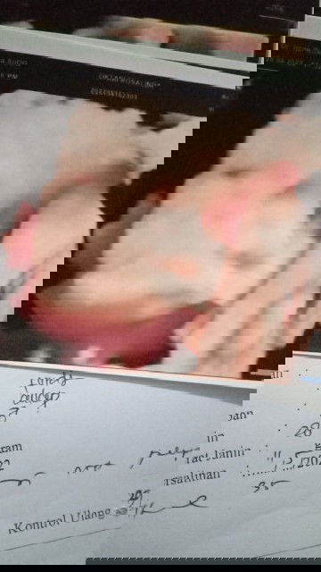 Hamil 38 minggu 5 hari