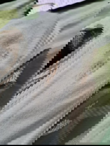 PLS HELP I DONT WNT TO LOSR AGAIN MY BABY