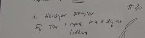 HERAGEST for Pregnant