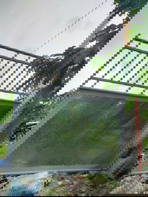 Ano po kayang pwedi inumin n gmot ng buntis kpag my lgnat cpon.salamt po sa mga sasagot..basahin q..