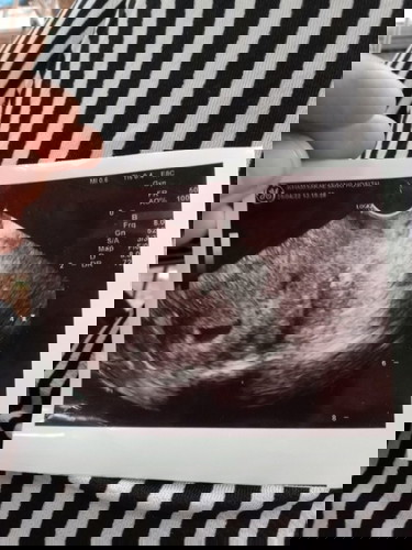 สอบถามผู้รู้หน่อยค่ะ