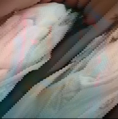 DUGO SA IHI 7 WEEKS OLD