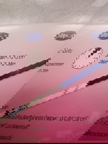 คงดื้อน่าดู