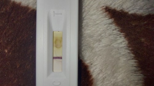 Pregnancy test