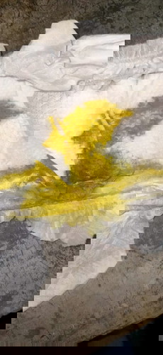 Normal poop po ba ito