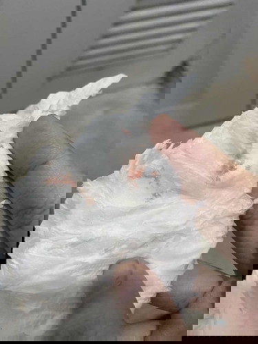 เลือดออกเล็กน้อย อันตรายไหมค่ะ