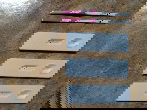 Hamil dan Ibu menyusu