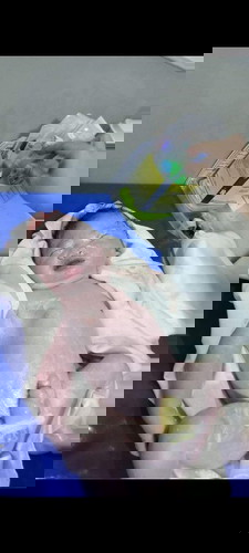 I gave birth na