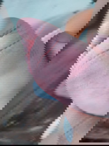 Hello, Ano po ang pwede ko ipahid or igamot kay baby base po sa experiencw nyo dito?