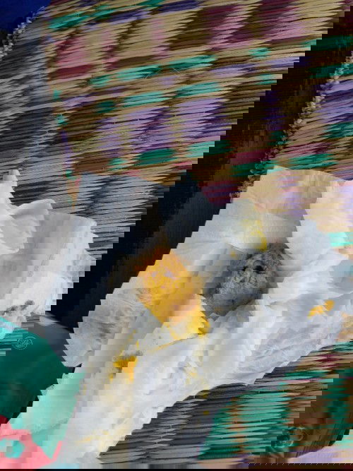 แบบนี้คืออึปกติไหมคะให้น้องกินนมผงคะ