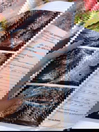 Hi moms I hope you can help me lessen my worries. Are we pregnant?