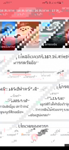 16 สัปดาห์